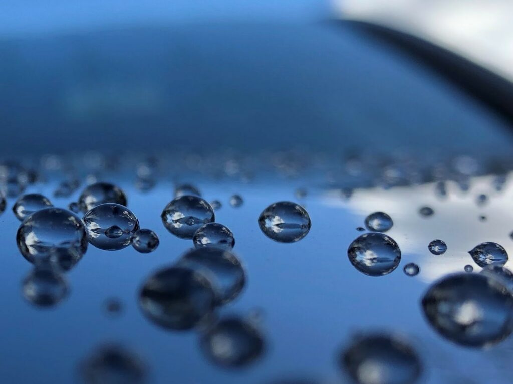 Water beads on car body panel