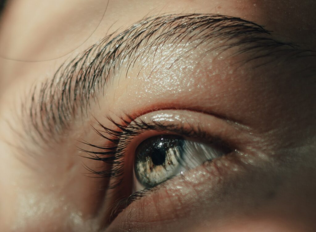 Close up of a females eyebrows