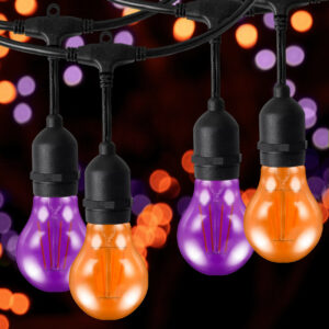 Halloween Festoon Light Premium 5m Connectible Outdoor Orange & Purple with 10x LED GLS - X6096